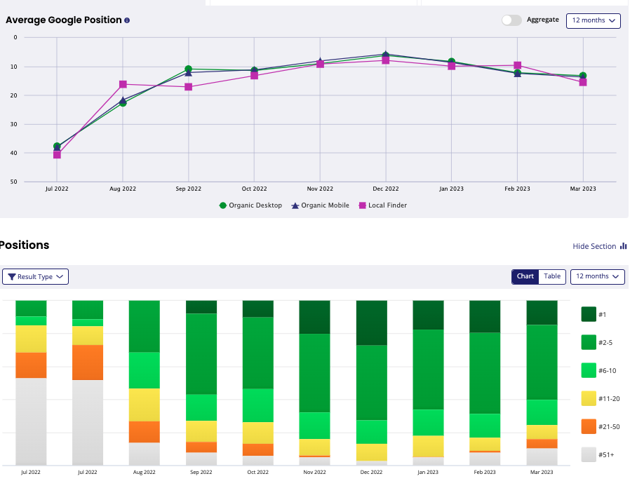 A line chart shows the average Google position for 12 months and a bar chart illustrates the distribution of positions by result type over the same period.